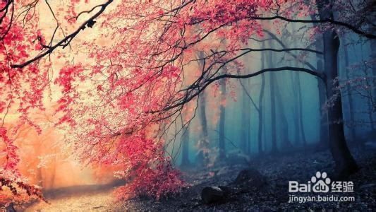 怎样给图片添加海绵效果