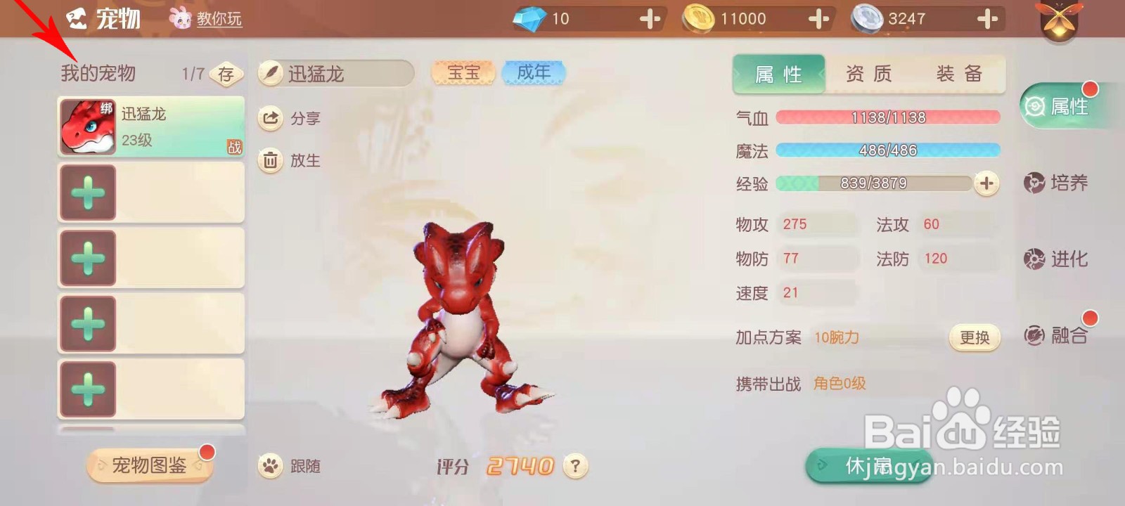 梦想新大陆宠物装备怎么获得