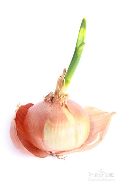 洋葱的功效与作用