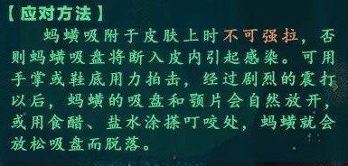 夏季虫蚁叮咬高发期，严重可致死亡