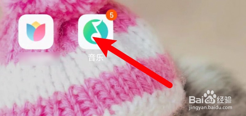 小米怎么设置音乐应用可使用流量播放音频？