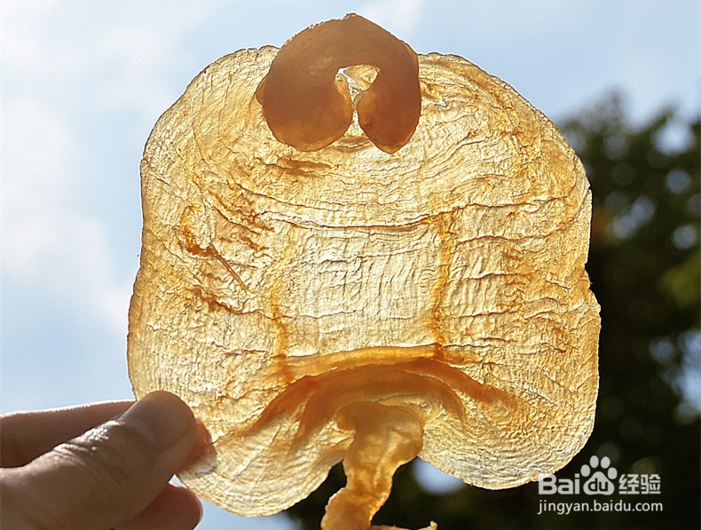 如何选购好花胶,怎样正确吃花胶?