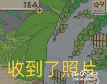 旅行青蛙日文攻略