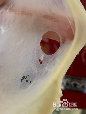 直接法奶油吐司