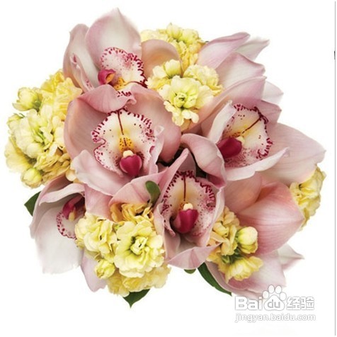 春夏季婚礼常用鲜花花语有哪些？