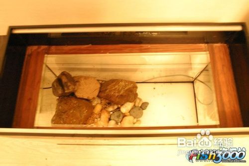 自制养龟实用鱼缸的方法