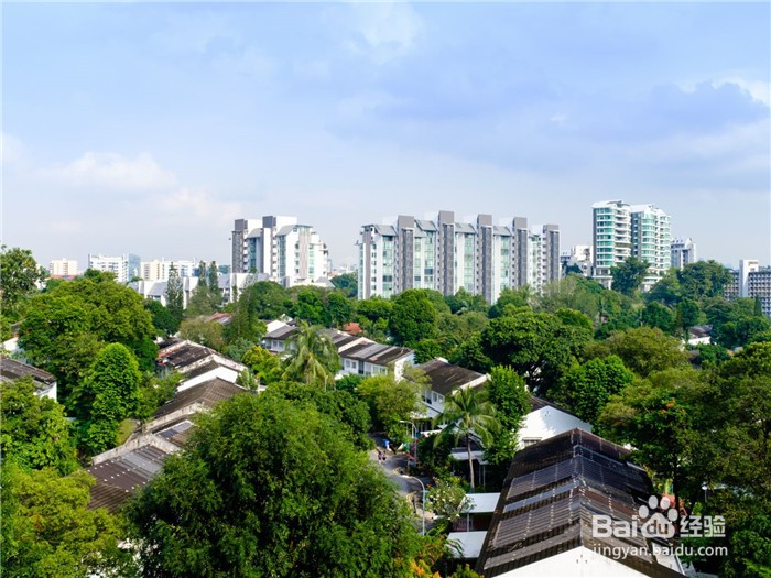 荷兰村旅游攻略