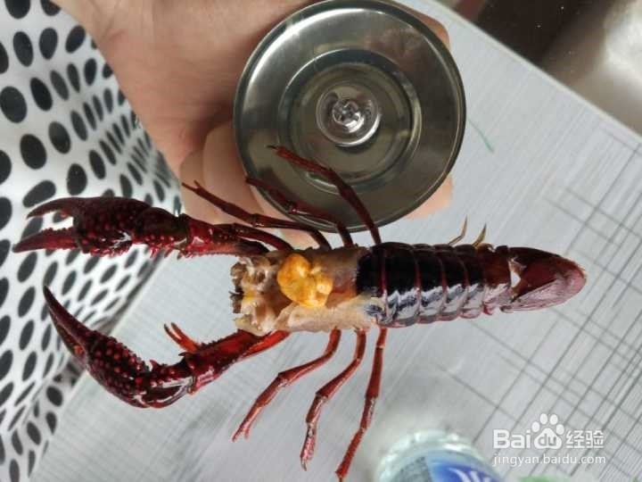 夏天自己买小龙虾做如何处理最干净