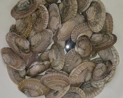 麻辣花甲的做法