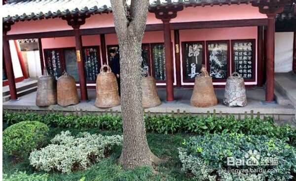 给大家介绍一下苏州的一些好玩又好看的景区