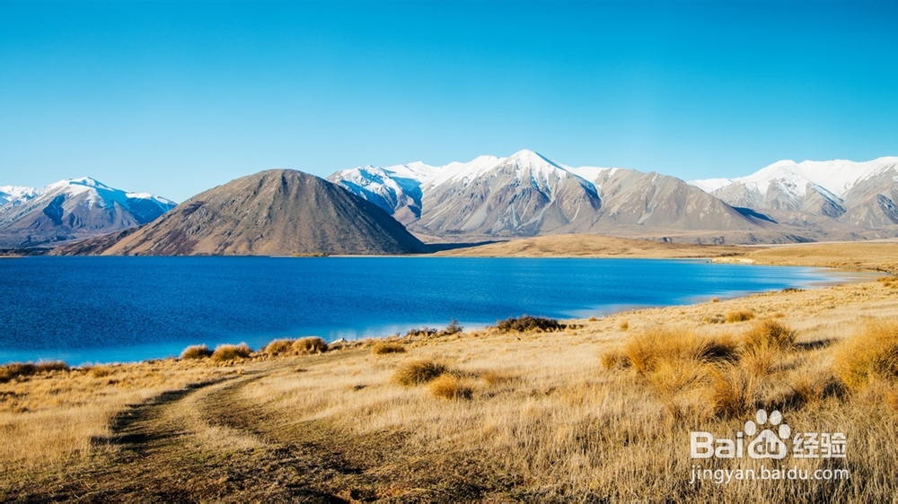 经济信息资源开发与利用：[31]复习总结三十一