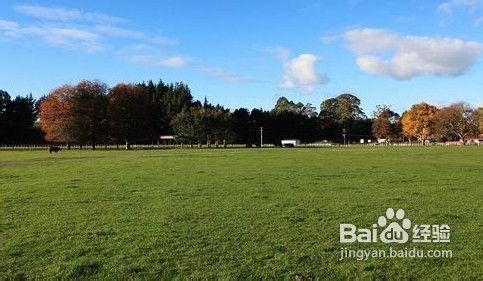 十一旅游线路推荐:新西兰南北岛8日阳光团队游