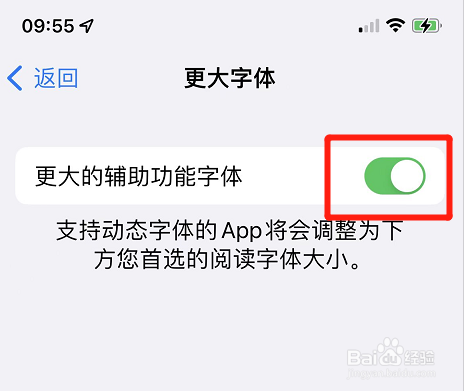 苹果如何开启更大的辅助功能字体