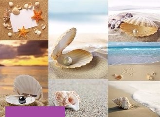 珍珠怎么拍照好看