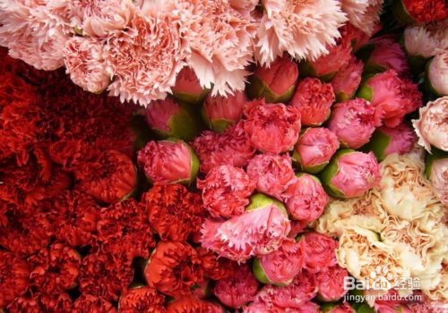 母亲节送妈妈什么礼物好、母亲节怎么过