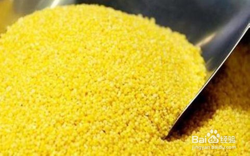 染色小米怎么辩别