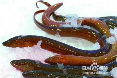 10种食物补足女性气血