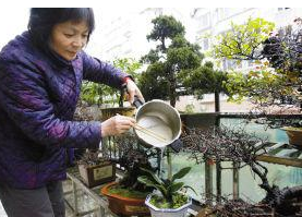 淘米水还能用来做更有用的事情！