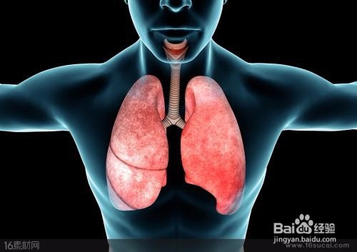 清除身体内多年烟毒！