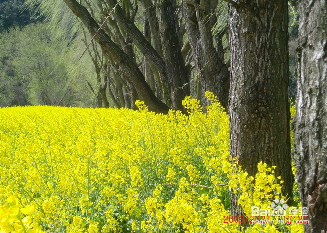 春季健康养生原则
