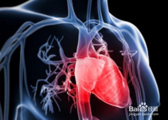 循环系统之肥厚型梗阻性心肌病之重点