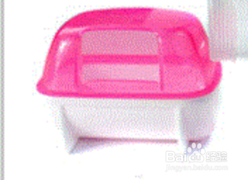 如何给仓鼠洗澡