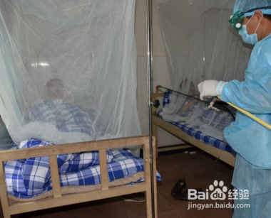 小学生怎样预防登革热病