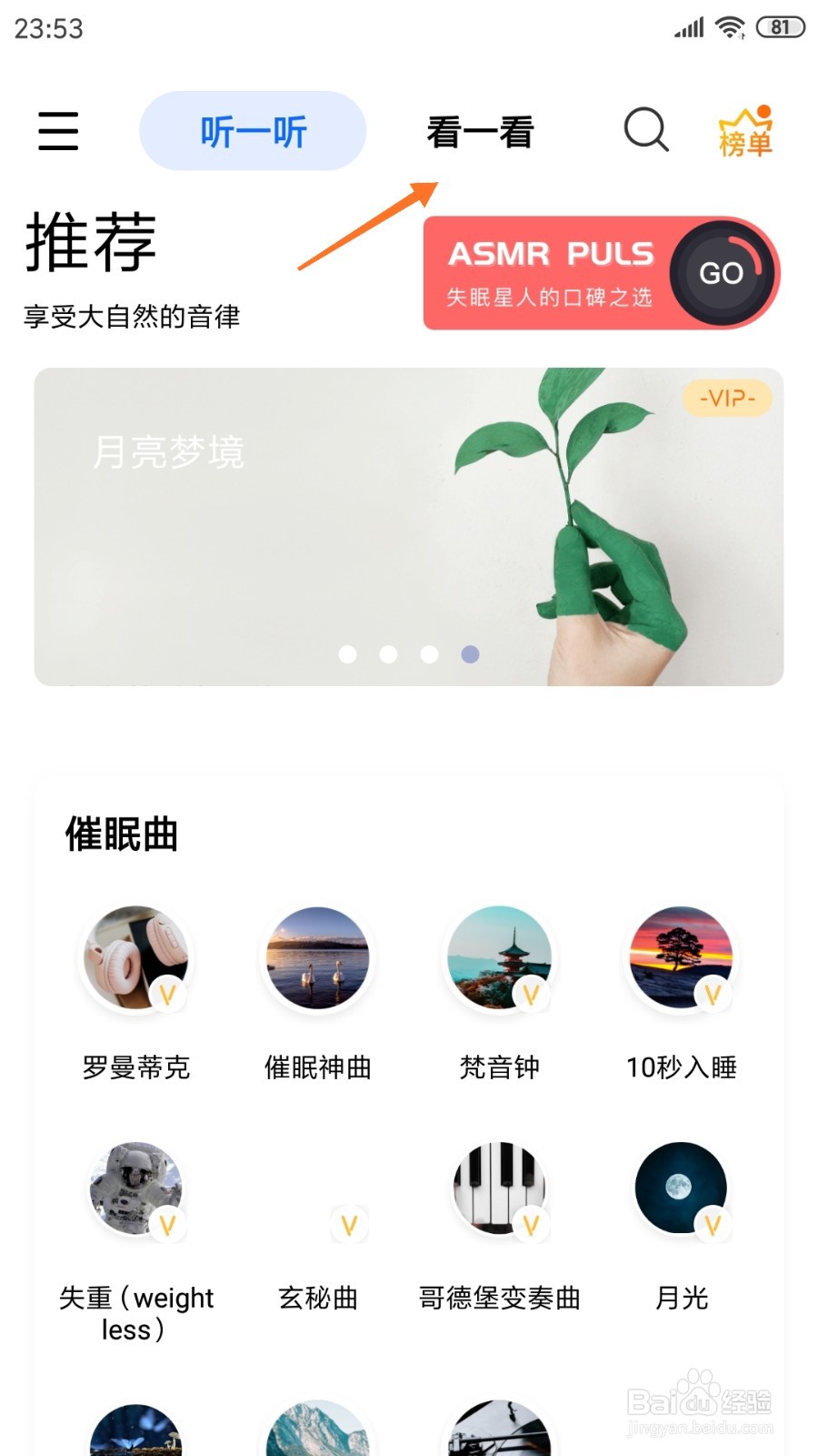 白噪音中如何查看清朝后宫蝉鸣