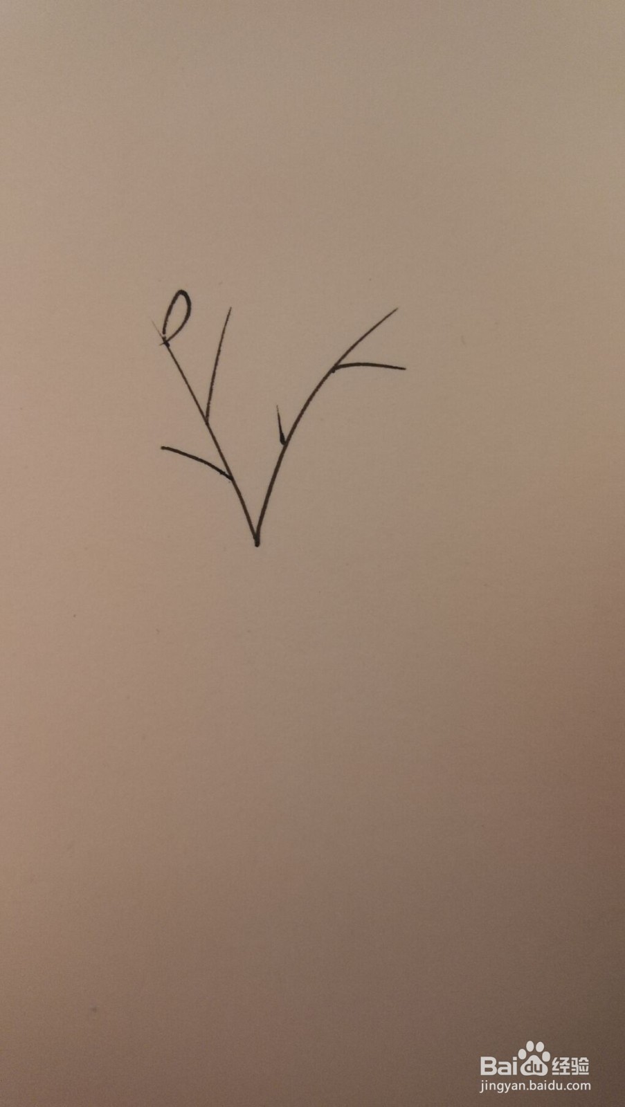 小草简笔画之画法四十八