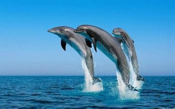 什么是生物圈