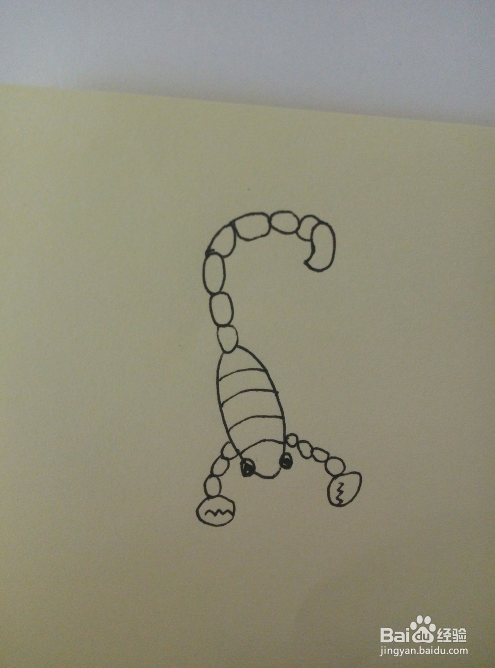 简笔的一只蝎子怎么画