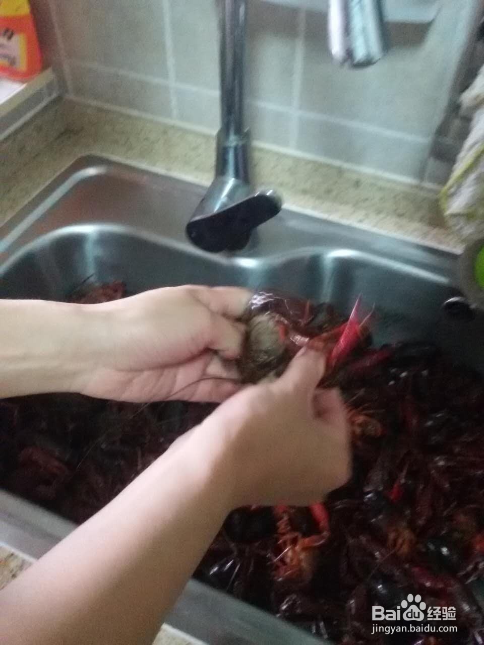 如何清洗小龙虾?