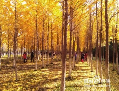 兰州理工大学关于这些你应该知道