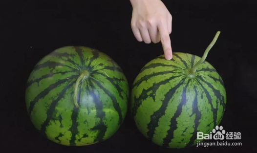 挑选西瓜的方法
