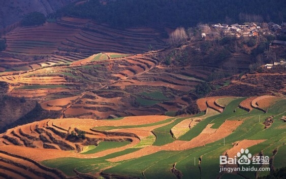 如何安排好每天的时间！（小攻略）