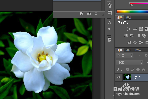 PS练习一百四十七栀子花
