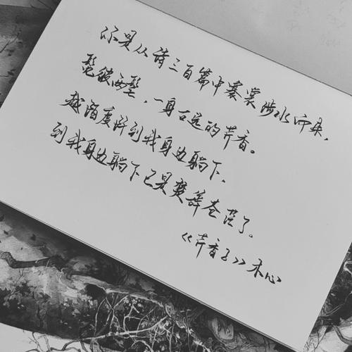 两行文字对什么对联
