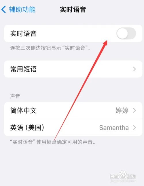 iPhone15在哪里设置实时语音