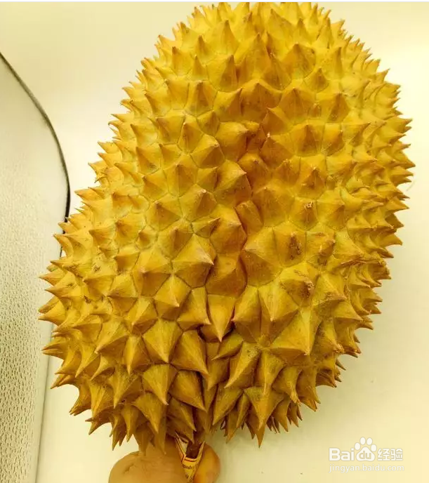 购买榴莲时如何挑选好的榴莲？