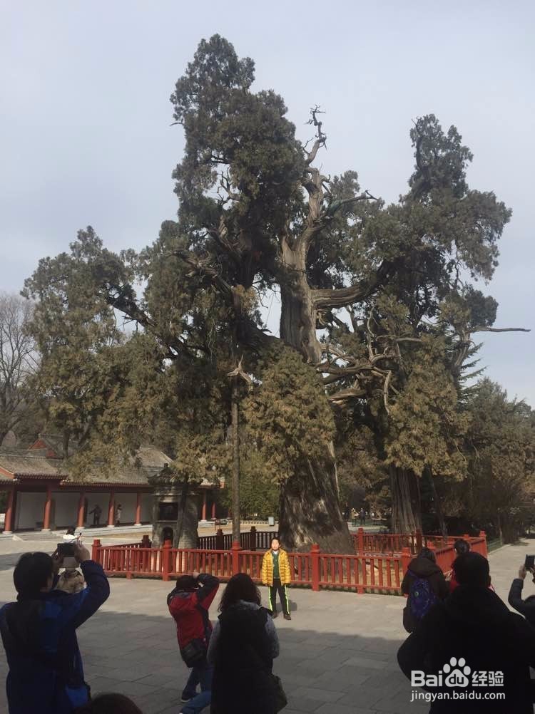 西安七日游应该怎样规划 去哪些地方