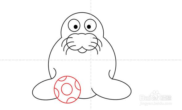 球球海狮简笔画进化图片