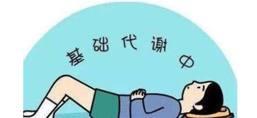 如何提高人体新陈代谢的能力