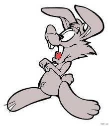 夸张兔子的简笔画