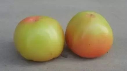 如何认知对健康有害的蔬菜