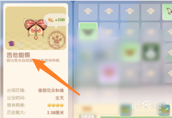 摩尔庄园吉他蝴蝶怎么获得