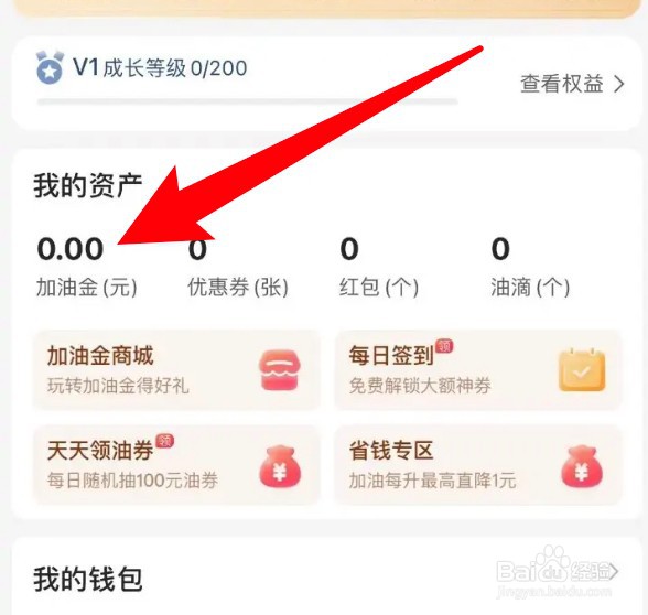 怎么查看团油app的收支明细