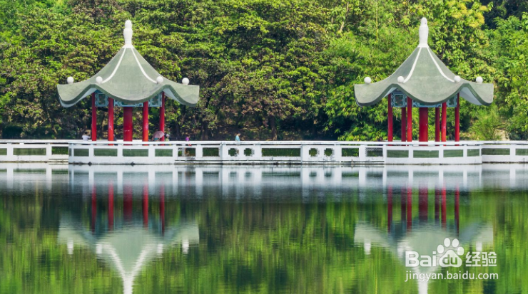 去高雄旅游时,去哪里游玩比较好?