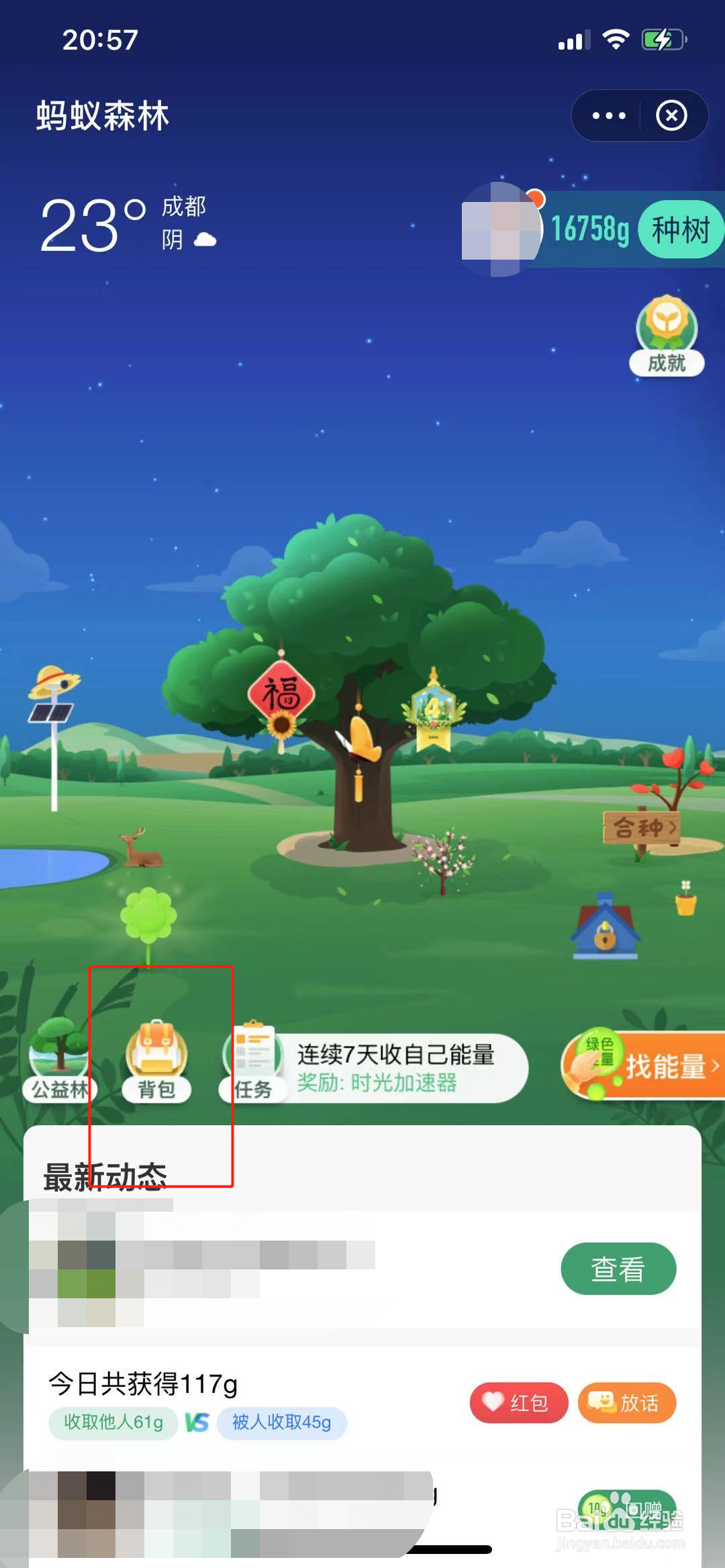 蚂蚁森林怎么查看自己获得的装扮挂饰？