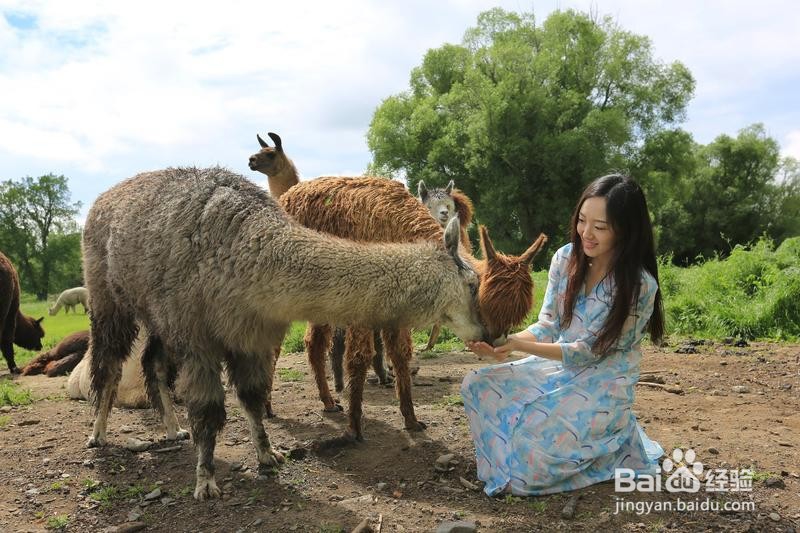 新西兰漫游简记7