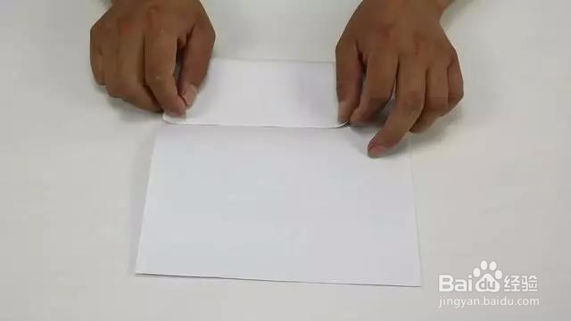 灭老鼠别再用老鼠药了，2张纸轻松抓老鼠